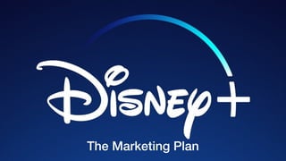 The Marketing Plan
 