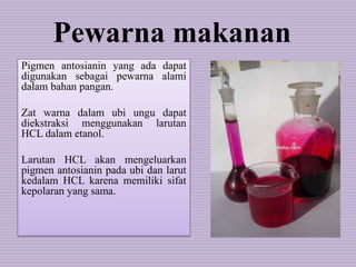 Pewarna makanan
Pigmen antosianin yang ada dapat
digunakan sebagai pewarna alami
dalam bahan pangan.
Zat warna dalam ubi ungu dapat
diekstraksi menggunakan larutan
HCL dalam etanol.
Larutan HCL akan mengeluarkan
pigmen antosianin pada ubi dan larut
kedalam HCL karena memiliki sifat
kepolaran yang sama.
 