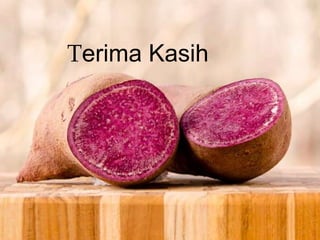 Terima Kasih
 