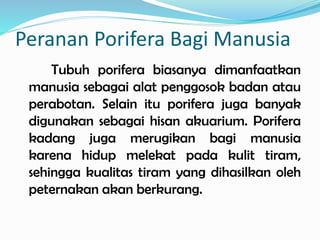 Peranan Porifera Bagi Manusia
Tubuh porifera biasanya dimanfaatkan
manusia sebagai alat penggosok badan atau
perabotan. Selain itu porifera juga banyak
digunakan sebagai hisan akuarium. Porifera
kadang juga merugikan bagi manusia
karena hidup melekat pada kulit tiram,
sehingga kualitas tiram yang dihasilkan oleh
peternakan akan berkurang.
 