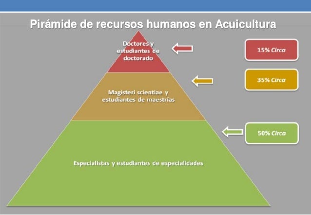 cadenas productivas sustentables regionales gestion y produccion en acuicultura cadenas productivas sustentables regionales gestion y produccion en acuicultura