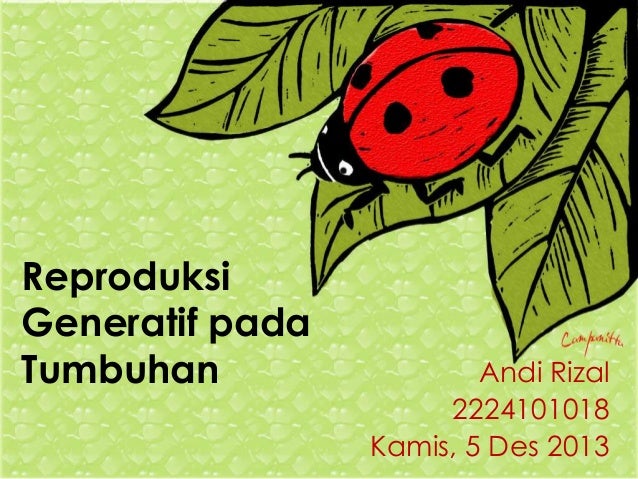Ppt Ujian Fix