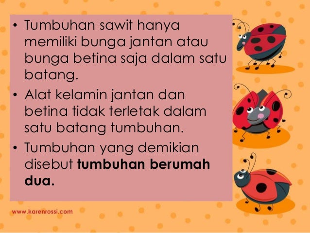 Ppt Ujian Fix