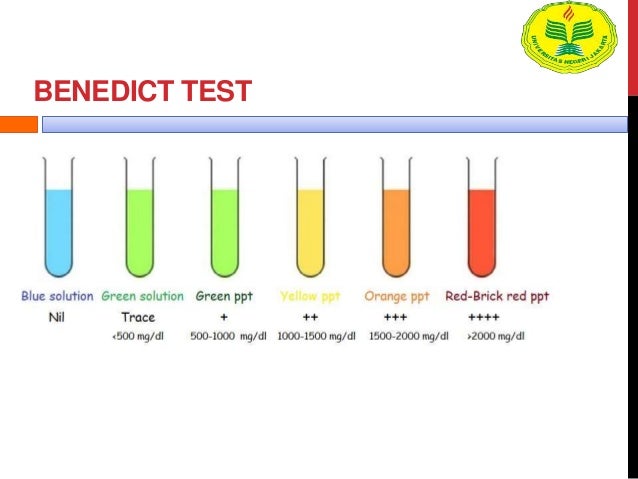 Ppt uji karbohidrat Ppt uji karbohidrat