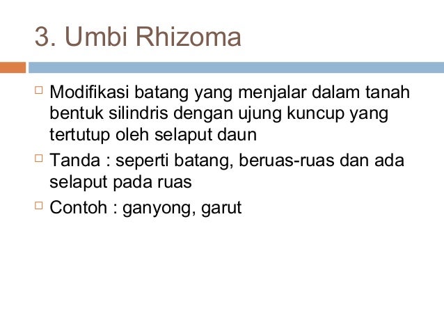 Pengetahuan Bahan Makanan