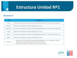 Estructura Unidad Nº1
Semana 2
 