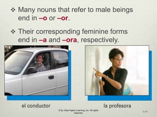  Many nouns that refer to male beings
end in –o or –or.
 Their corresponding feminine forms
end in –a and –ora, respectively.
© by Vista Higher Learning, Inc. All rights
reserved.
1.1-7
 