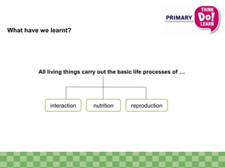 What have we learnt?
interaction nutrition reproduction
All living things carry out the basic life processes of …
 