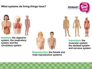 What systems do living things have?
Interaction: the
muscular system,
the skeletal system
and nervous system
Reproduction: the female and
male reproductive systems
Nutrition: the digestive
system, the respiratory
system and the
circulatory system
 