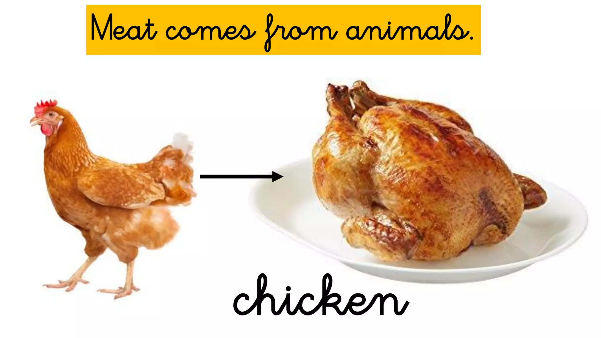 chicken
Meat comes from animals.