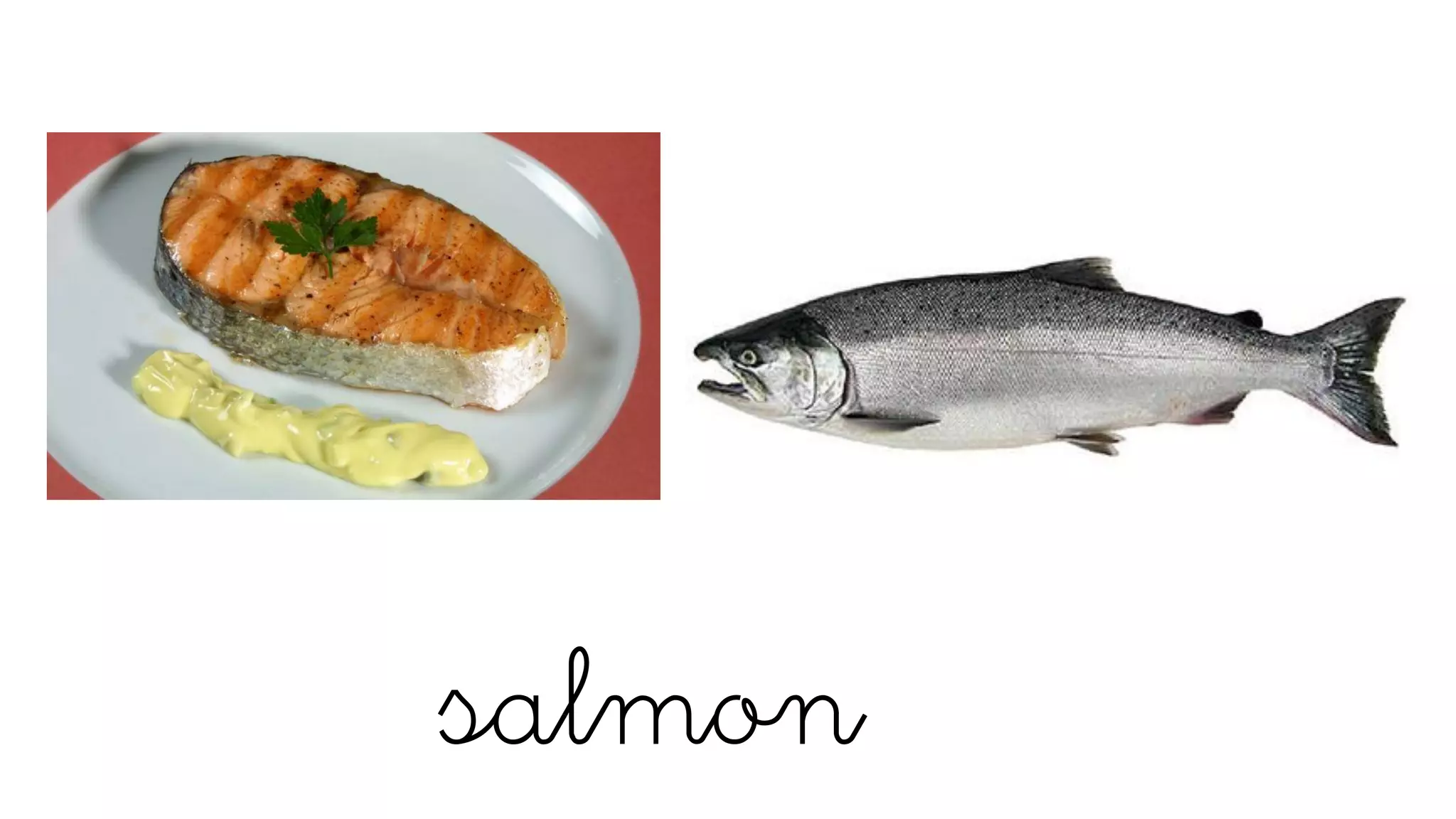salmon