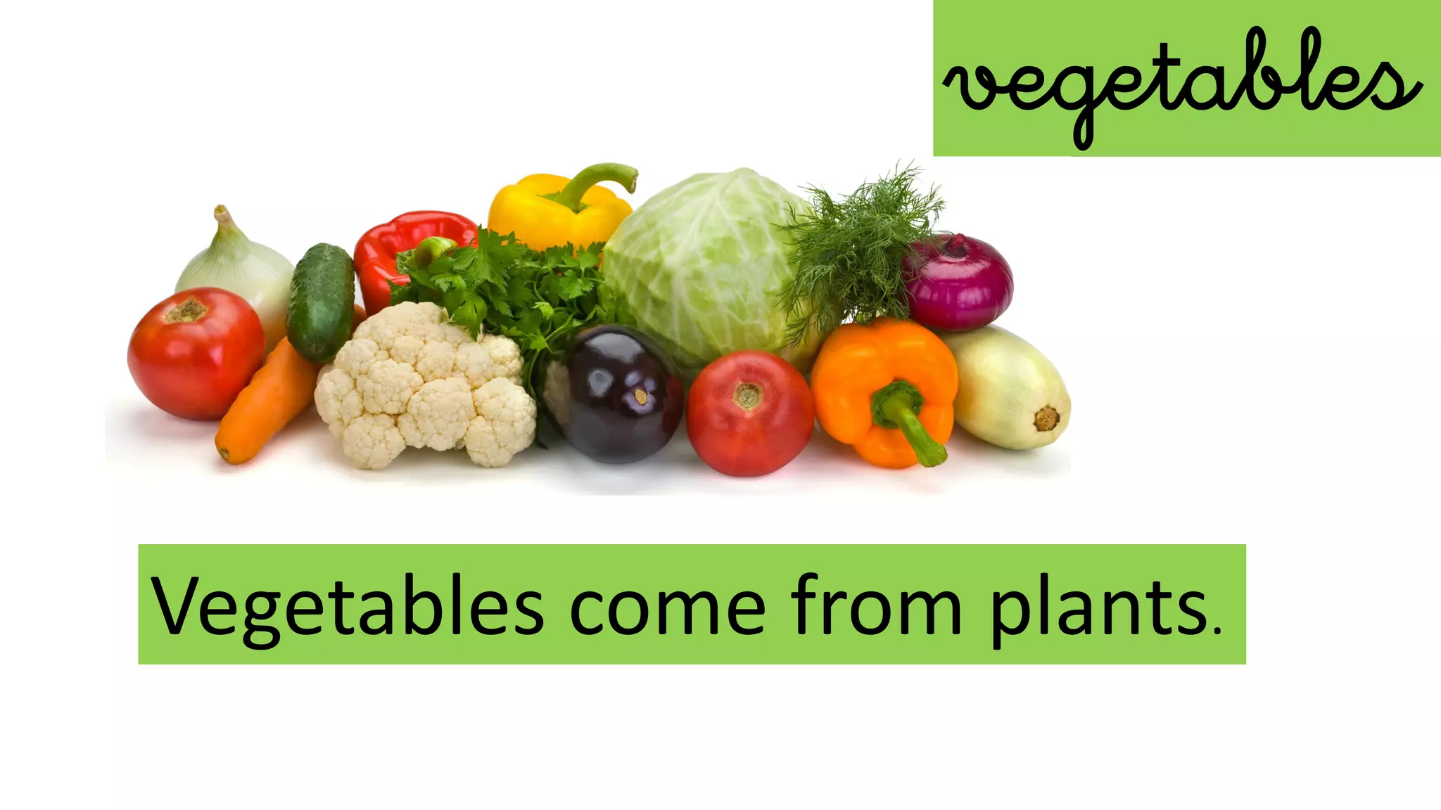 vegetables
Vegetables come from plants.