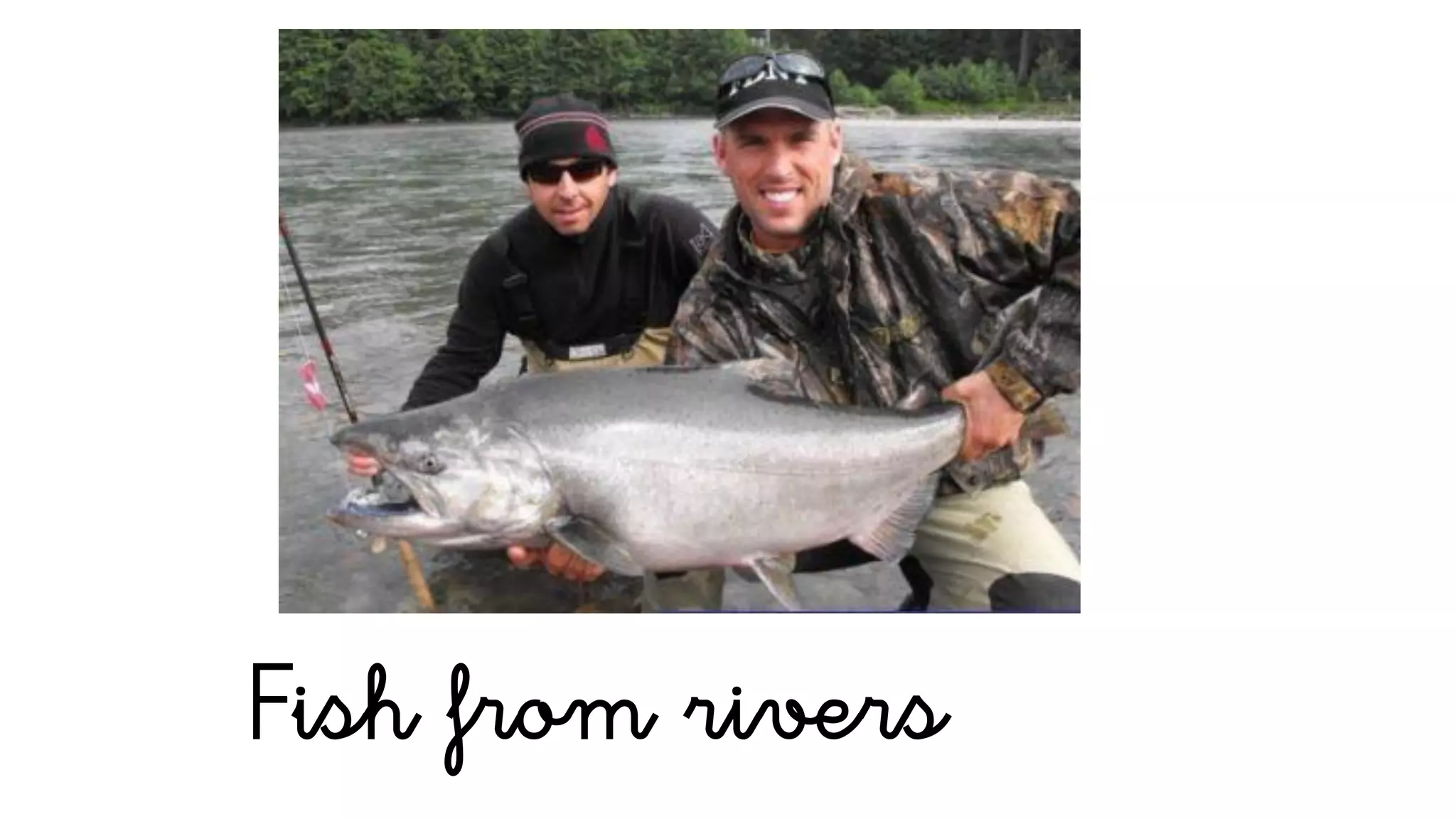 Fish from rivers