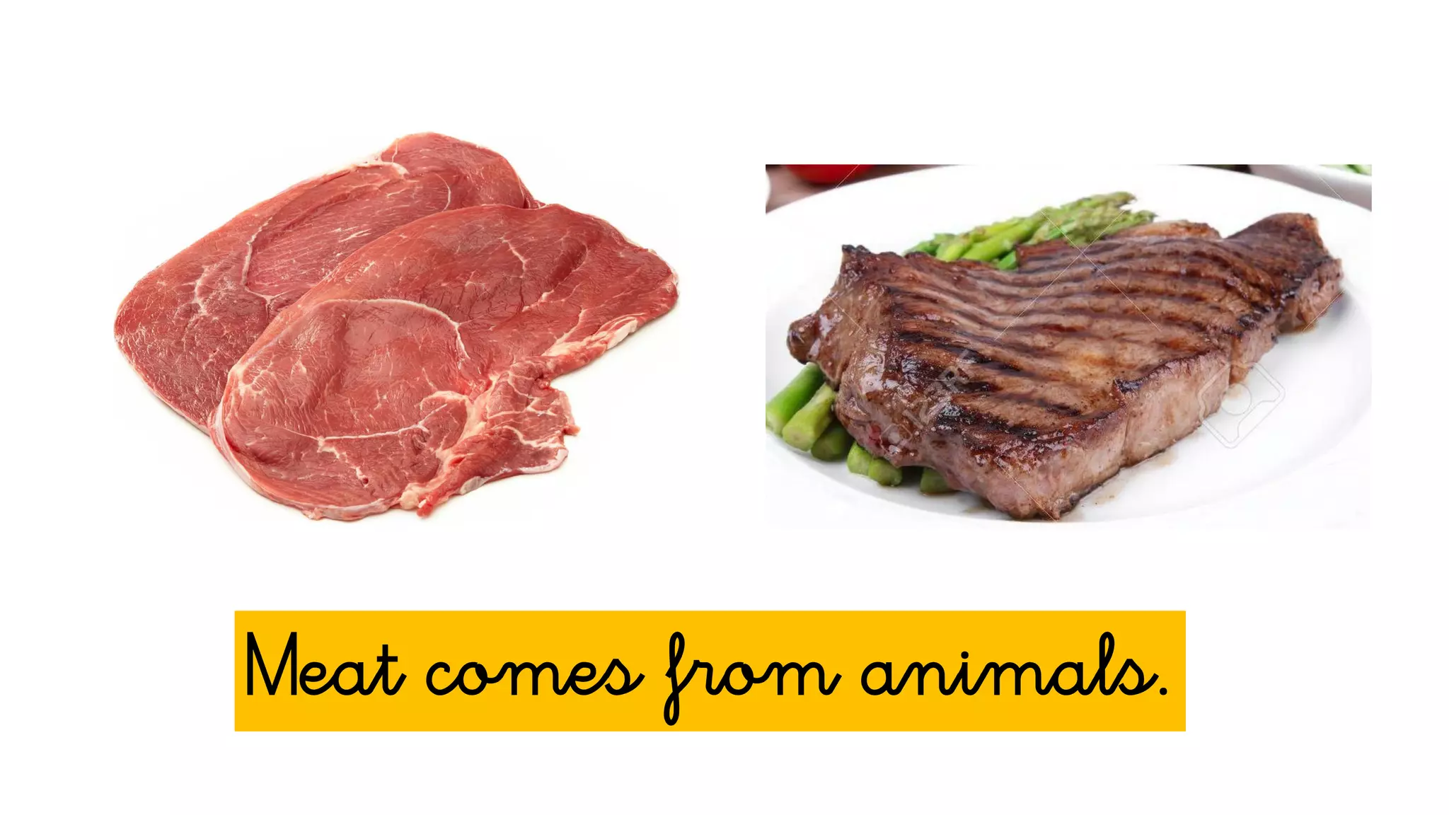 Meat comes from animals.