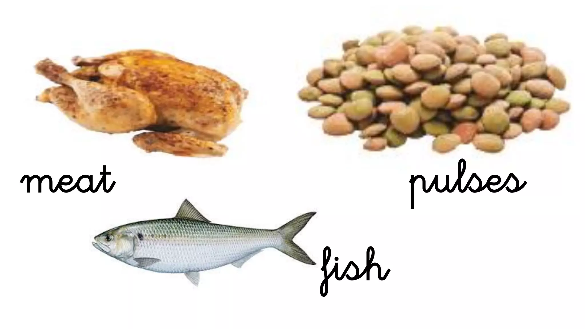 meat pulses
fish