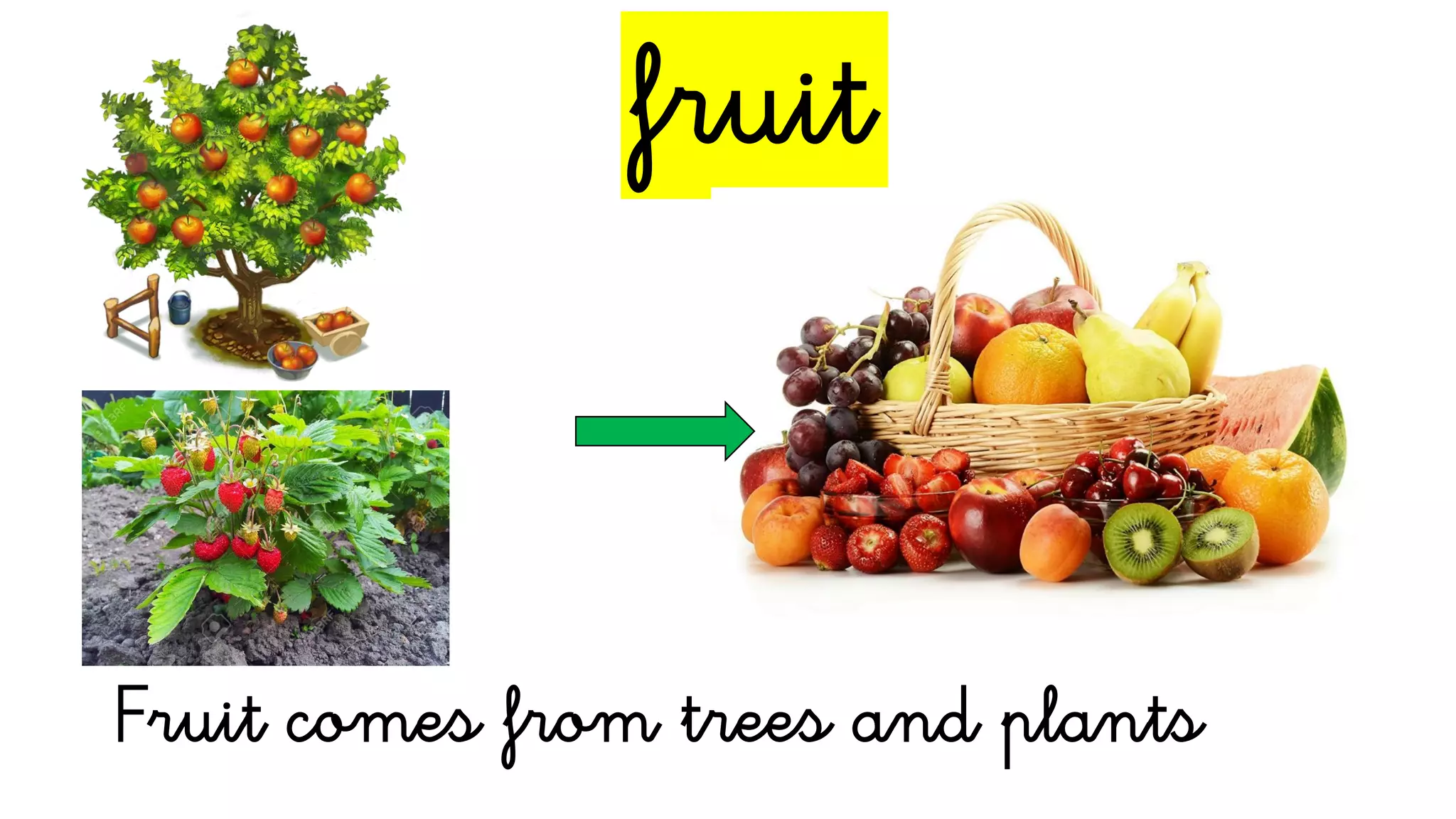 fruit
Fruit comes from trees and plants