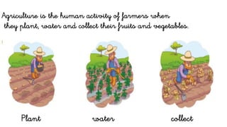 Agriculture is the human activity of farmers when
they plant, water and collect their fruits and vegetables.
Plant water collect
 