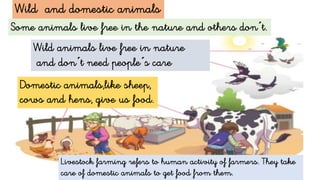 Wild and domestic animals
Some animals live free in the nature and others don´t.
Wild animals live free in nature
and don´t need people´s care
Domestic animals,like sheep,
cows and hens, give us food.
Livestock farming refers to human activity of farmers. They take
care of domestic animals to get food from them.
 