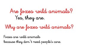 Are foxes wild animals?
Yes, they are.
Why are foxes wild animals?
Foxes are wild animals
because they don´t need people’s care.
 