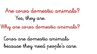 Are cows domestic animals?
Yes, they are.
Why are cows domestic animals?
Cows are domestic animals
because they need people’s care.
 