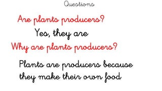 Questions
Are plants producers?
Yes, they are
Why are plants producers?
Plants are producers because
they make their own food
 