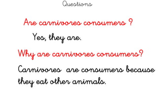 Questions
Are carnivores consumers ?
Yes, they are.
Why are carnivores consumers?
Carnivores are consumers because
they eat other animals.
 