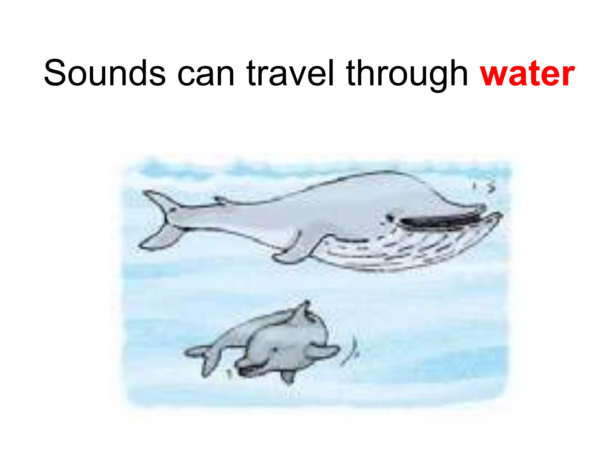 Sounds can travel through water
 