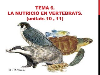 TEMA 6.
LA NUTRICIÓ EN VERTEBRATS.
      (unitats 10 , 11)
 