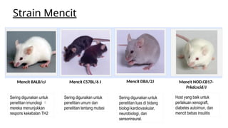 Pemanfaatan animal model untuk penelitian | PPTX