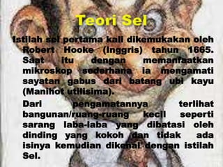 Istilah sel pertama kali dikemukakan oleh
Robert Hooke (Inggris) tahun 1665.
Saat itu dengan memanfaatkan
mikroskop sederhana ia mengamati
sayatan gabus dari batang ubi kayu
(Manihot utilisima).
Dari pengamatannya terlihat
bangunan/ruang-ruang kecil seperti
sarang laba-laba yang dibatasi oleh
dinding yang kokoh dan tidak ada
isinya kemudian dikenal dengan istilah
Sel.
 