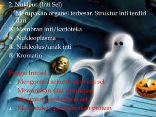 2. Nukleus (Inti Sel)
Merupakan organel terbesar. Struktur inti terdiri
dari :
@. Membran inti/karioteka
@. Nukleoplasma
@. Nukleolus/anak inti
@. Kromatin
Fungsi Inti sel :
a. Mengontrol seluruh aktivitas sel
b. Mewariskan sifat keturunan
c. Mengatur pembelahan sel
d. Menentukan pembentukan protein
 