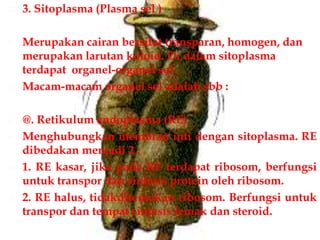  3. Sitoplasma (Plasma sel )
 Merupakan cairan bersifat transparan, homogen, dan
merupakan larutan koloid. Di dalam sitoplasma
terdapat organel-organel sel .
 Macam-macam organel sel adalah sbb :
 @. Retikulum endoplasma (RE)
 Menghubungkan membran inti dengan sitoplasma. RE
dibedakan menjadi 2 :
 1. RE kasar, jika pada RE terdapat ribosom, berfungsi
untuk transpor dan sintesis protein oleh ribosom.
 2. RE halus, tidakditemukan ribosom. Berfungsi untuk
transpor dan tempat sintesis lemak dan steroid.
 