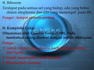@. Ribosom
Terdapat pada semua sel yang hidup, ada yang bebas
dalam sitoplasma dan ada yang menempel pada RE.
Fungsi : tempat sintesis protein
@. Kompleks Golgi
Ditemukan oleh Camilio Golgi (1898). Pada
tumbuhan sering disebut dengan istilah diktiosom.
Fungsi :
1. untuk sekresi atau eksresi karbohidrat, protein,
dan lipida.
2. Untuk membentuk musin/lendir.
3. Membentuk lisosom.
 