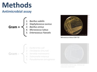  Fatty acid addition to glycidolIntroductionNisinCARACHTERISTICS Polycyclic peptideantibacterial with 34 aminoacids