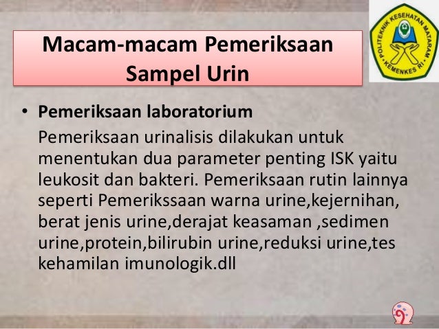 Ppt urine persentaion Ppt urine persentaion