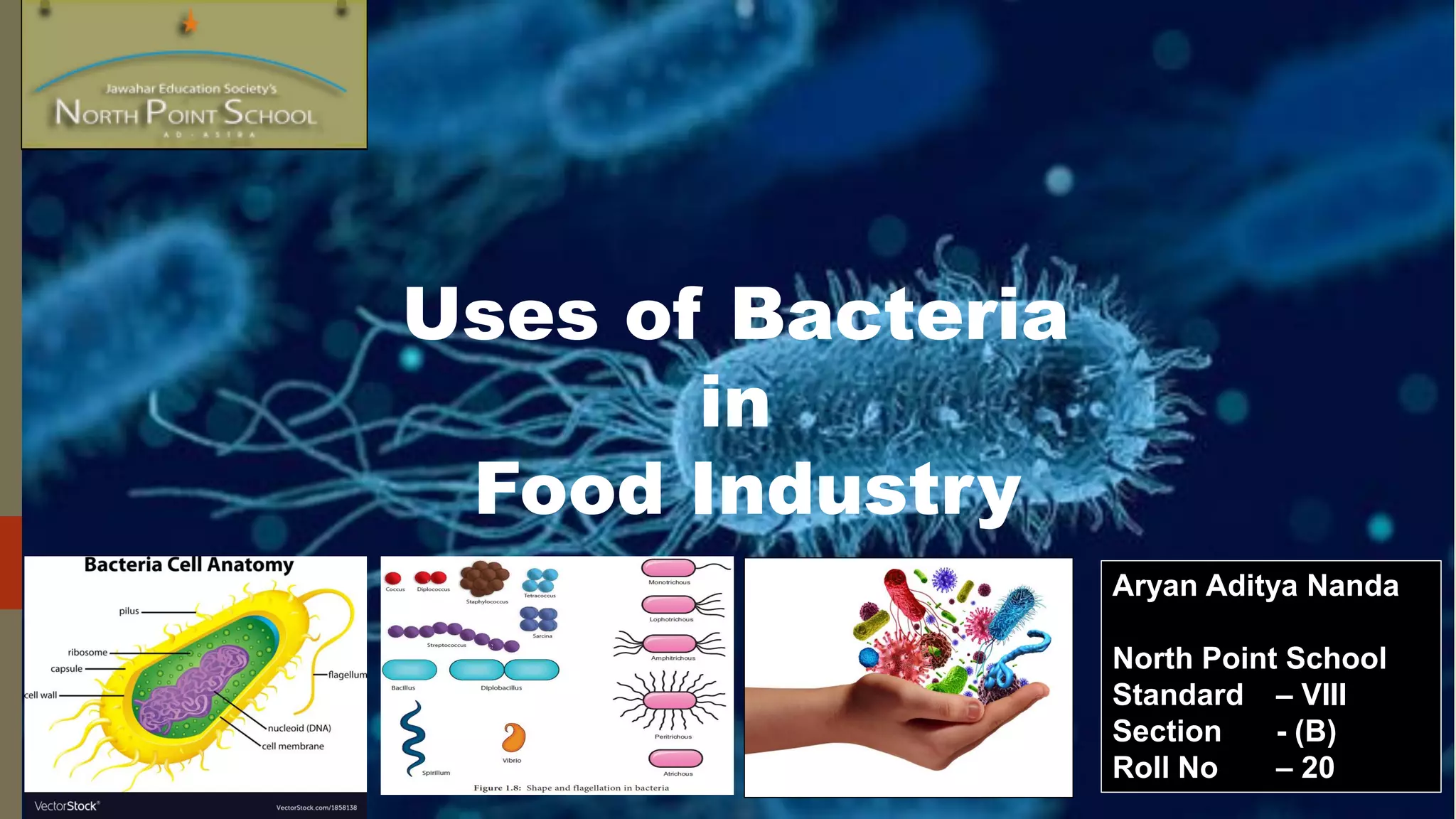 Usage of Bacteria in food industries PPT