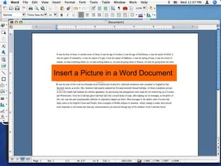 Insert a Picture in a Word Document 