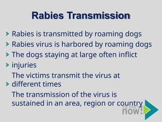 Researchgate How Rabies Is Transmitted ppt pentingnya vaksinasi rabies untuk pencegahan .pptx