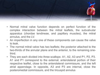 • Normal mitral valve function depends on perfect function of the
complex interaction between the mitral leaflets, the subvalvular
apparatus (chordae tendineae, and papillary muscles), the mitral
annulus, and the LV.
• An imperfection in any one of these components can cause the valve
to leak.
• The normal mitral valve has two leaflets; the posterior attached to the
two-thirds of the annular plane and the anterior, to the remaining one-
third.
• They are each divided into three scallops: A1, A2, A3 and P1, P2, P3.
A1 and P1 correspond to the external, anterolateral portion of their
respective leaflet, close to the anterolateral commissure, and the left
atrial appendage. In opposite, A3 and P3 are internal, close the
posteromedial commissure, and the tricuspid annulus
 