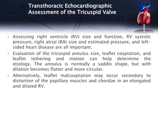 Transthoracic Echocardiographic
Assessment of the Tricuspid Valve
• Assessing right ventricle (RV) size and function, RV systolic
pressure, right atrial (RA) size and estimated pressure, and left-
sided heart disease are all important.
• Evaluation of the tricuspid annulus size, leaflet coaptation, and
leaflet tethering and motion can help determine the
etiology. The annulus is normally a saddle shape, but with
dilation becomes flatter and more circular.
• Alternatively, leaflet malcoaptation may occur secondary to
distortion of the papillary muscles and chordae in an elongated
and dilated RV.
 