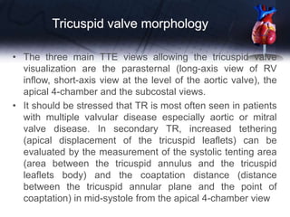 Tricuspid valve morphology
• The three main TTE views allowing the tricuspid valve
visualization are the parasternal (long-axis view of RV
inflow, short-axis view at the level of the aortic valve), the
apical 4-chamber and the subcostal views.
• It should be stressed that TR is most often seen in patients
with multiple valvular disease especially aortic or mitral
valve disease. In secondary TR, increased tethering
(apical displacement of the tricuspid leaflets) can be
evaluated by the measurement of the systolic tenting area
(area between the tricuspid annulus and the tricuspid
leaflets body) and the coaptation distance (distance
between the tricuspid annular plane and the point of
coaptation) in mid-systole from the apical 4-chamber view
 
