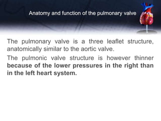 Anatomy and function of the pulmonary valve
The pulmonary valve is a three leaflet structure,
anatomically similar to the aortic valve.
The pulmonic valve structure is however thinner
because of the lower pressures in the right than
in the left heart system.
 