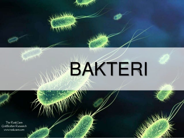 Ppt virus dan bakteri