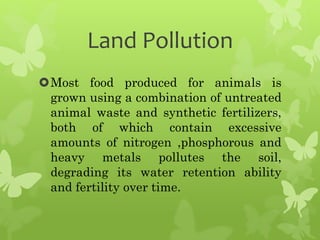 Land Pollution
Most food produced for animals is
grown using a combination of untreated
animal waste and synthetic fertilizers,
both of which contain excessive
amounts of nitrogen ,phosphorous and
heavy metals pollutes the soil,
degrading its water retention ability
and fertility over time.
 