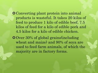 Converting plant protein into animal
products is wasteful. It takes 20 kilos of
feed to produce 1 kilo of edible beef, 7.5
kilos of feed for a kilo of edible pork and
4.5 kilos for a kilo of edible chicken.
Over 30% of global grains(including
wheat and maize) and 90% of soya are
used to feed farm animals, of which the
majority are in factory forms.
 