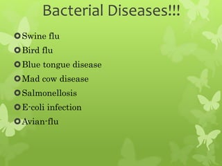Bacterial Diseases!!!
Swine flu
Bird flu
Blue tongue disease
Mad cow disease
Salmonellosis
E-coli infection
Avian-flu
 