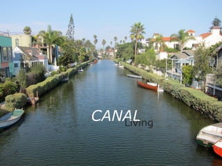 CANAL
Living

 