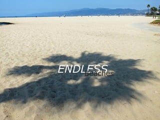 ENDLESS
Beaches

 