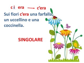 c i era        c’era
Sui fiori c’era una farfalla,
un uccellino e una
coccinella.


        SINGOLARE
 