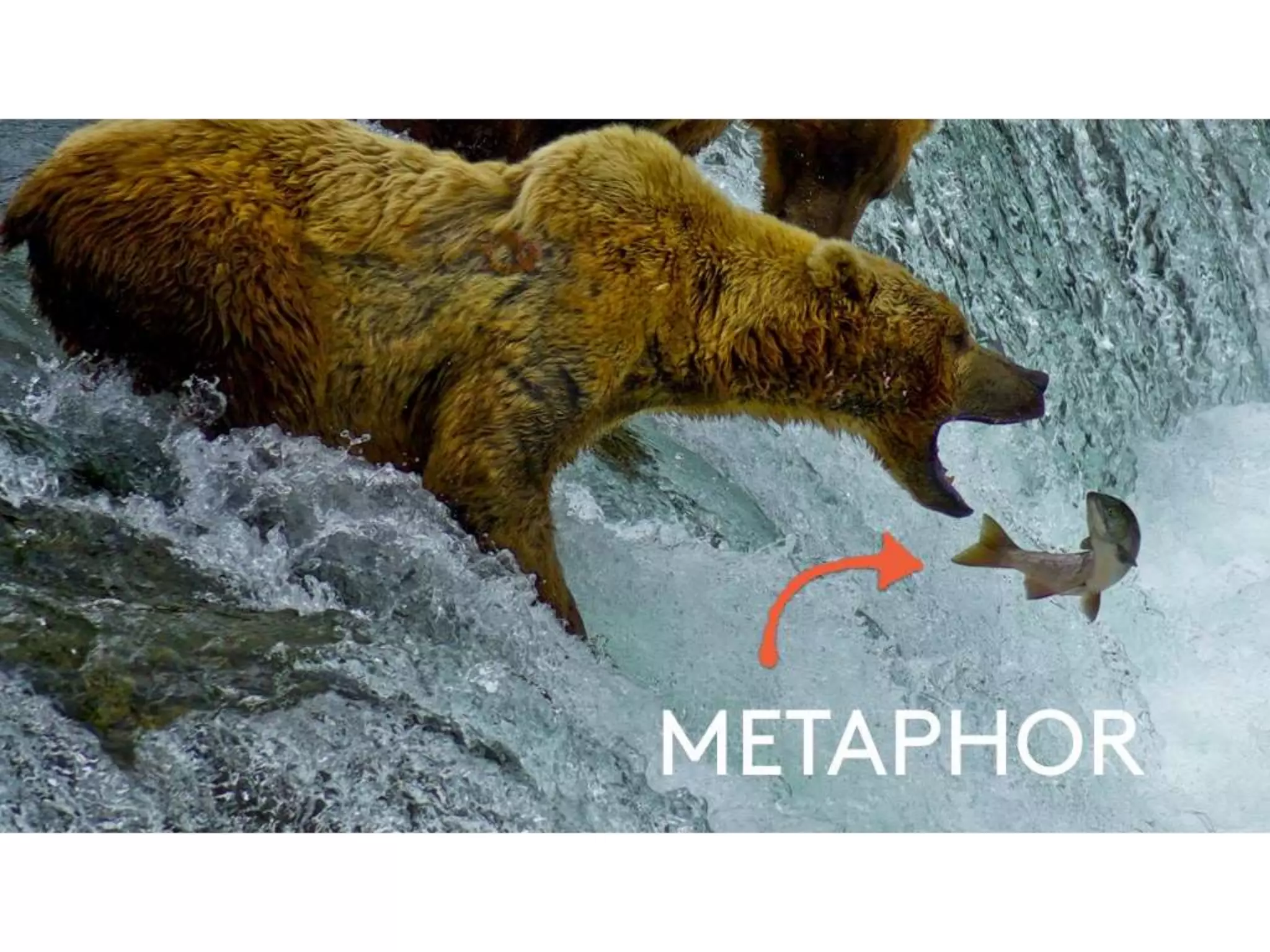 Why customer service is everyone's job